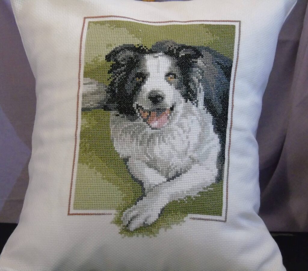 Border Collie Cushion